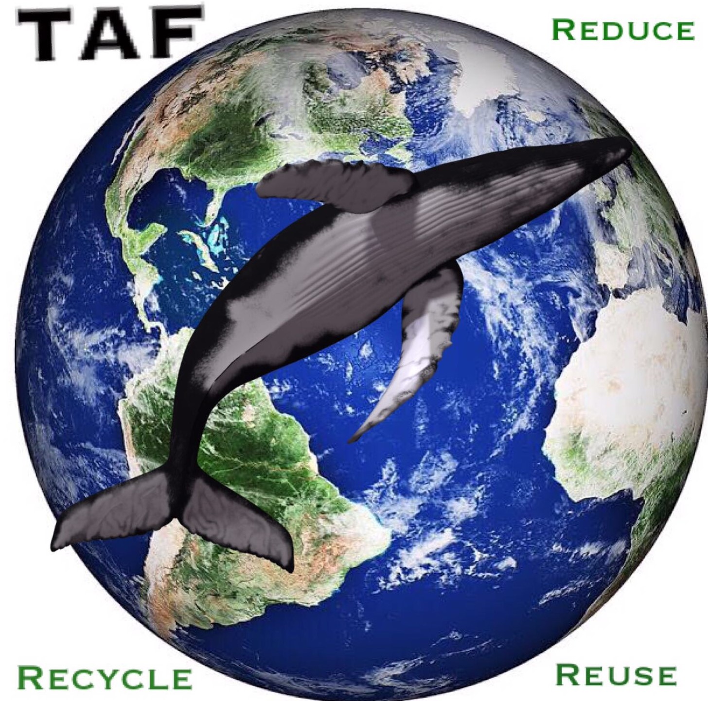 Read more about the article WORLD EARTH DAY