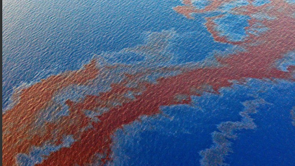 Read more about the article Dolphin populations will take 40 years to recover from Deepwater Horizon oil spill’