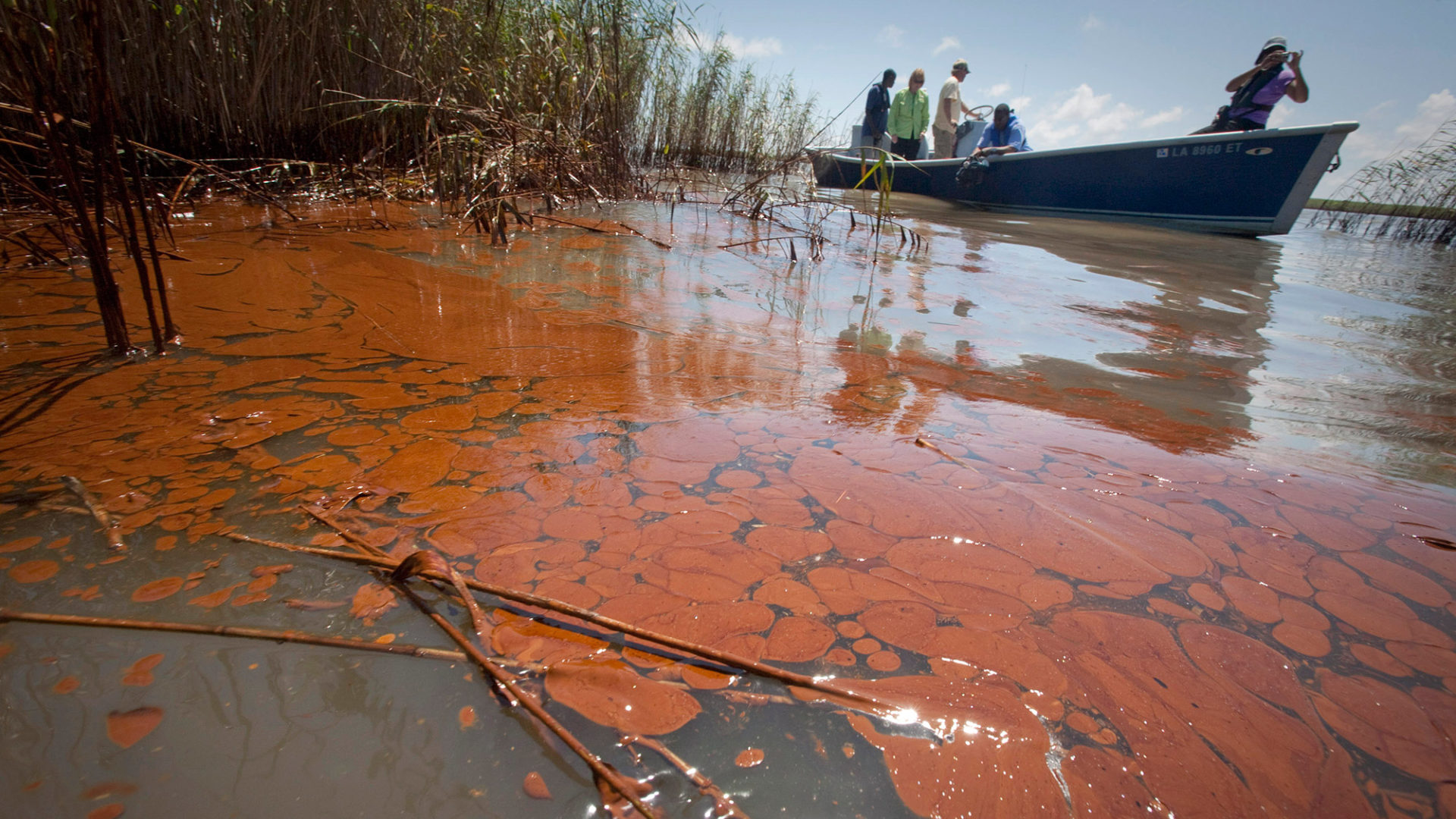 You are currently viewing La reproduction des dauphins heurtée par la catastrophe pétrolière de BP