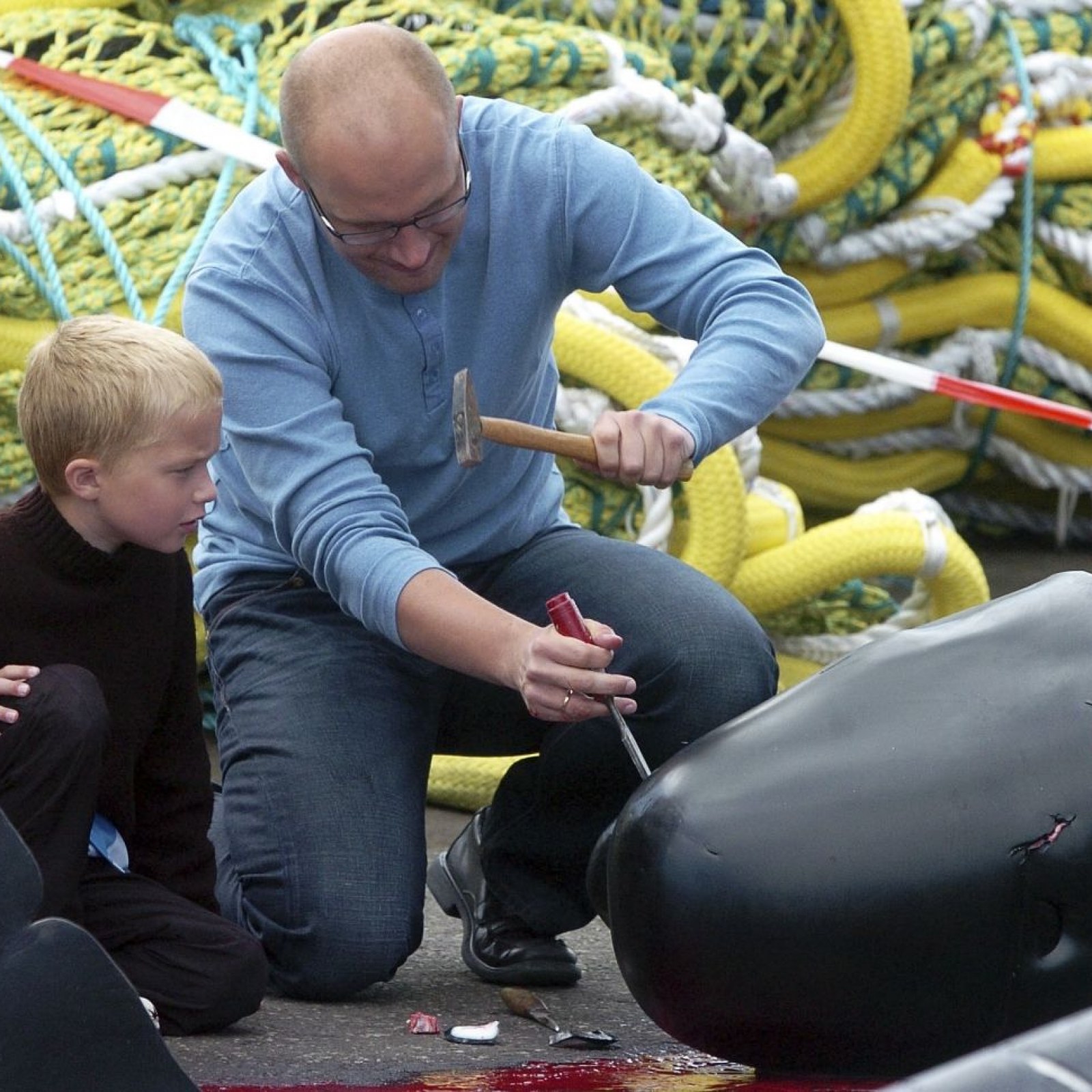 Read more about the article Update on the Faroe Islands’ tradition!