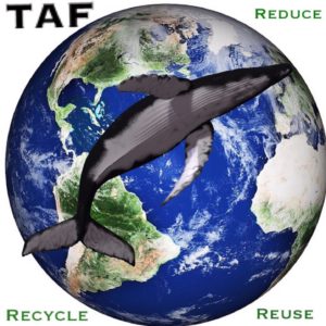 Lire la suite à propos de l’article Journée Mondiale de la Terre
