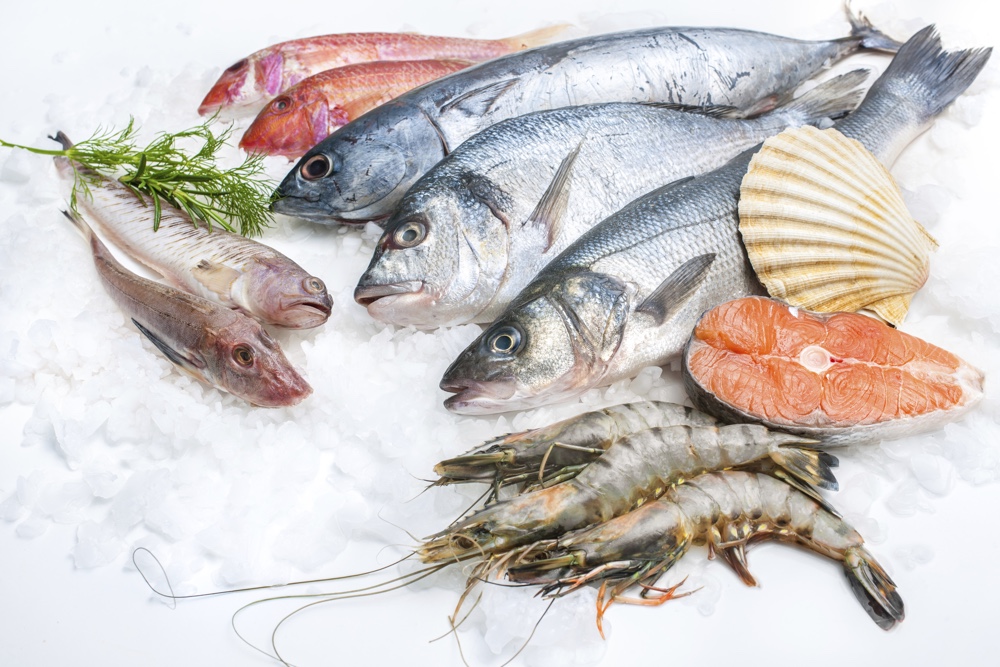 Lire la suite à propos de l’article Est-ce que c&rsquo;est sain de manger du poisson? Une mise à jour du groupe surpêche de TAF