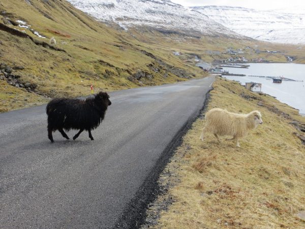 on-the-way-to-Runavik-and-Runavik-2-1