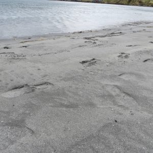 Fuglafjøedur (3)