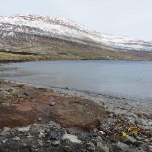 Fuglafjøedur (5)