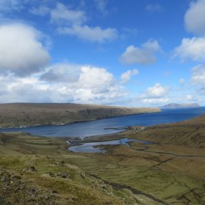 NES. HVALBA (7)