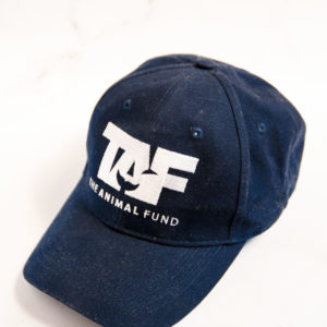 CAP in Blue