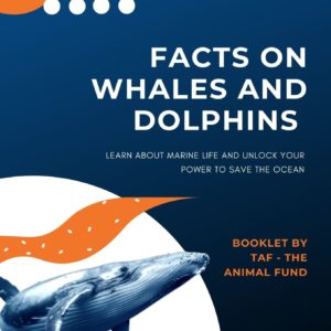 TAF Booklet