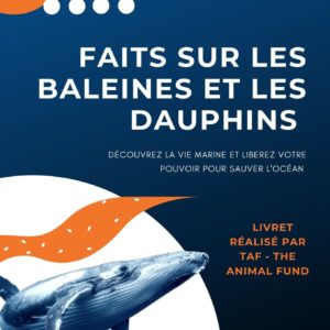 TAF Booklet